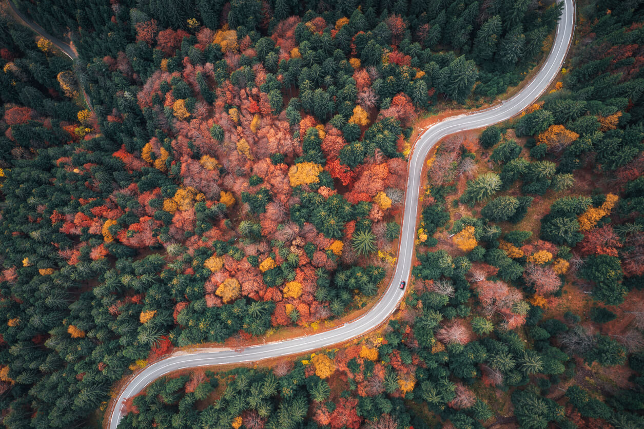 A winding road through the forest with trees changing color in Fall.