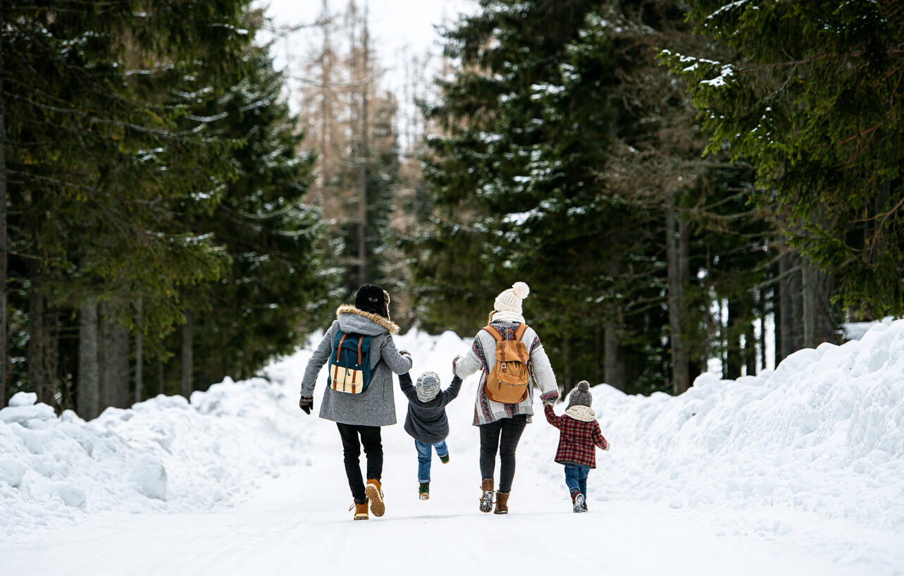 A family of 4 walking down a beautiful forested path in the snow