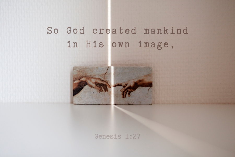 Genesis 1:27